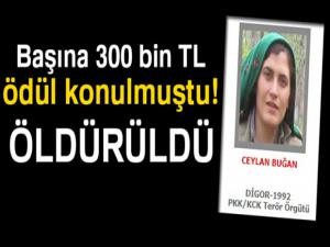 300 bin TL ödüllü