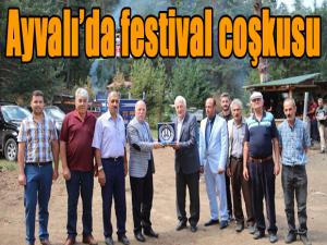 Ayvalı'da festival coşkusu