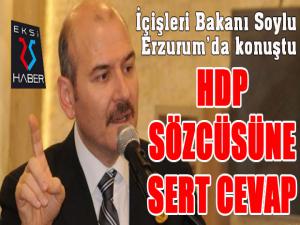 Bakan Soylu'dan HDP sözcüsüne sert cevap