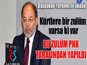 Başbakan Yardımcısı Akdağ: Kürtlere zulüm PKK tarafından yapıldı...