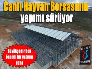 Büyükşehirin yatırımı Canlı Hayvan Borsasının yapımı sürüyor