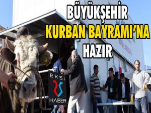 Büyükşehir Kurban Bayramına hazır