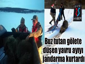 Buz tutan gölete düşen yavru ayıyı jandarma kurtardı