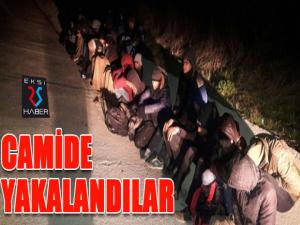 Camide 15 kaçak göçmen yakalandı