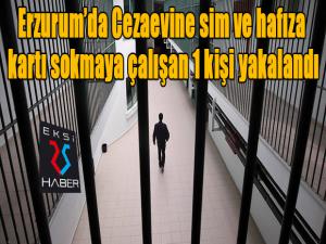 Cezaevine sim ve hafıza kartı sokmaya çalışan 1 kişi yakalandı