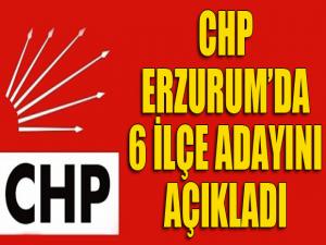 CHP Erzurum'da 6 başkan adayını açıkladı...