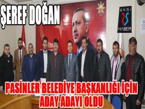 Doğan Pasinlere aday adayı oldu