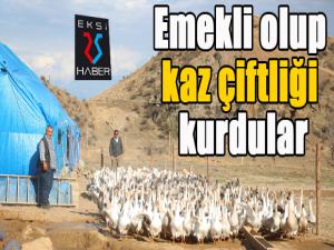 Emekli olup kaz çiftliği kurdular