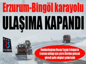 Erzurum-Bingöl karayolu çığ düşmesi sonucu ulaşıma kapandı 