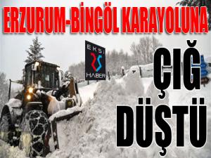 Erzurum-Bingöl karayoluna çığ düştü