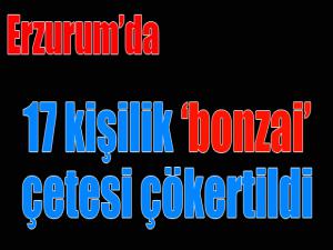 Erzurumda 17 kişilik bonzai çetesi çökertildi 