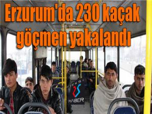 Erzurum'da 230 kaçak göçmen yakalandı