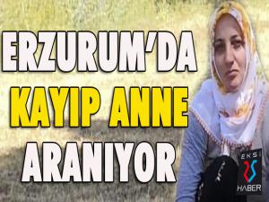 Erzurum'da kayıp anne aranıyor