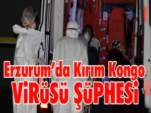 Erzurumda Kırım Kongo virüsü şüphesi