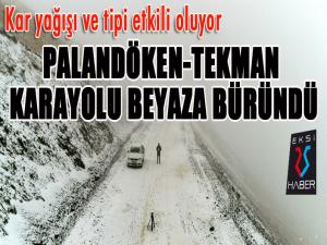 Erzurum'da lapa lapa kar ve tipi