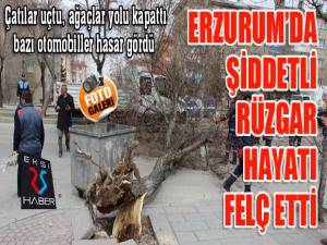 Erzurumda şiddetli rüzgar hayatı adeta felç etti 
