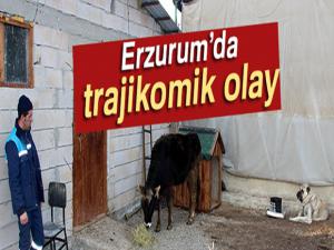 Erzurumda trajikomik olay