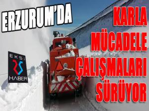 Her yerde bahar, Erzurum'da kar var