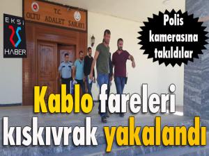 Kablo hırsızları şehir polis kameralarına takıldı