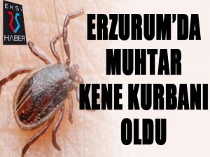 Kene Erzurum'da can aldı...