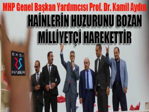 Prof. Dr. Aydın: Hainlerin oyununu bozan Milliyetçi Harekettir