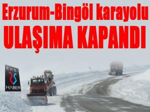 Tipi etkili oldu, Bingöl-Erzurum yolu kapatıldı