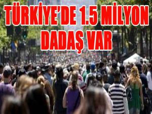 Türkiyede 1.5 milyon dadaş var
