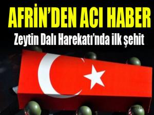 Zeytin Dalı Harekatında ilk şehit