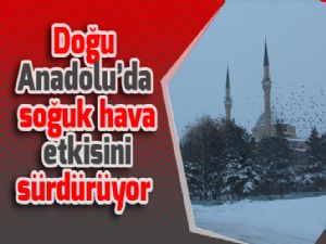 Doğu Anadolu'da soğuk hava etkisini sürdürüyor