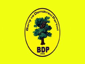 BDP'li Tan'dan haddini aşan teklif: Erzurum'un adı ERZEROM olsun!