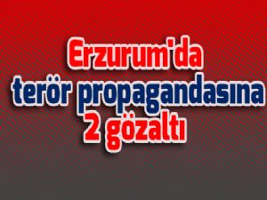 Erzurum'da terör propagandasına 2 gözaltı