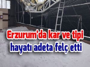 Erzurum'da kar ve tipi hayatı adeta felç etti