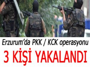 Erzurum'da Pkk/kck üyesi 3 kişi yakalandı