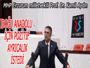 Kamil Aydın Doğu Anadolu için pozitif ayrıcalık istedi