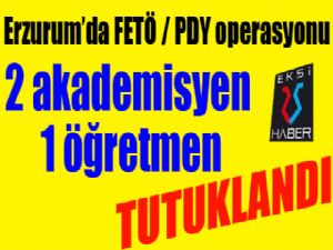 Erzurum'da FETÖ/PDY'den 3 kişi tutuklandı 