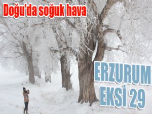 Doğu Anadolu'da soğuk hava: Erzurum Eksi 29