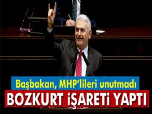 Başbakan Binali Yıldırım bozkurt işareti yaptı