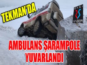 Tekman'da ambulans şarampole yuvarlandı...