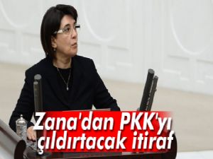 Leyla Zana, Valiye 'PKK'yı 20 devlet kullanıyor' demiş