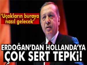 Cumhurbaşkanı Erdoğan'dan Hollanda'ya sert tepki!