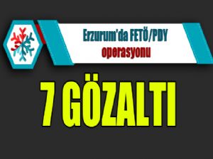 Erzurum'da FETÖ/PDY operasyonu: 7 gözaltı