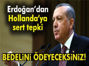 Cumhurbaşkanı Erdoğan'dan önemli Hollanda açıklaması
