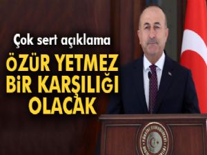 Bakan Mevlüt Çavuşoğlu: 'Bunun bir karşılığı olacak, özür dilemek yetmez'