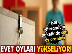 Referandum anketinde son durum ne? 'Evet' oyları yükseliyor