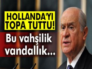 Bahçeli'den Hollanda'ya: Bu vahşilik, bu vandallık niyedir?