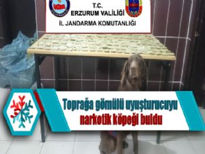 Toprağa gömülü uyuşturucuyu narkotik köpeği buldu