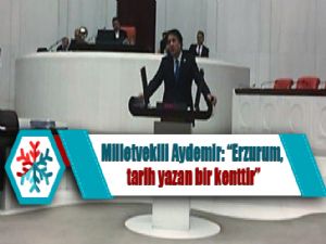 Milletvekili Aydemir: 