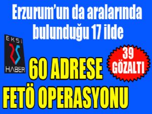 17 ilde FETÖ operasyonu: 39 gözaltı