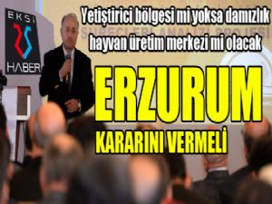 Vali Azizoğlu: Erzurum kararını vermeli!