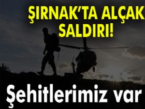 Şırnak'ta güvenlik görevlilerine hain saldırı!